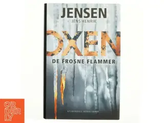 De frosne flammer af Jens Henrik Jensen (f. 1963) (Bog)
