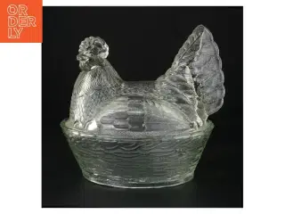 Stor Glas høne krukke med låg (str. 22 x 16 cm)