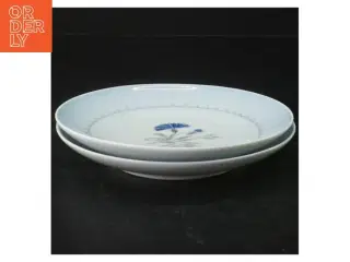 Dementer blå kornblomst Porcelænsmiddagstallerkener fra B&G (str. Ø. 16 cm)