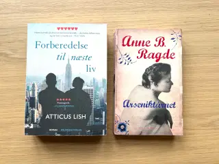📚 Bogpakke til salg – 50 kr per bog