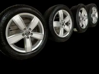 17 VW Passat 215/55r17 Ref.141 vinter