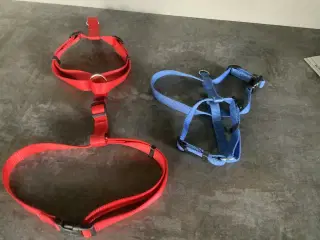 Hunde seler, forskellige str. - 5 stk kun kr 100