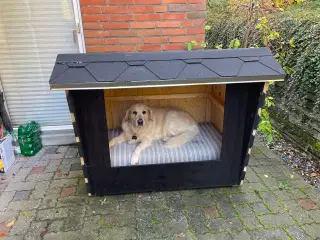 Hundehus som shelter