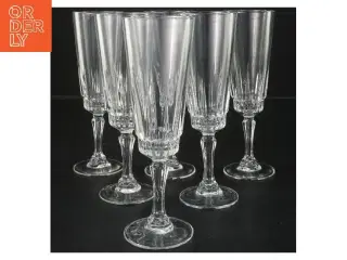 Champagneglas, 6 stk (Ø 6 cm længde 18,5 cm)