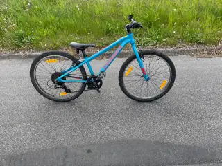 Mountainbike Orbea Dreng