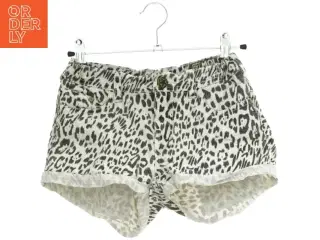 Shorts fra Molo (str. 152 cm)