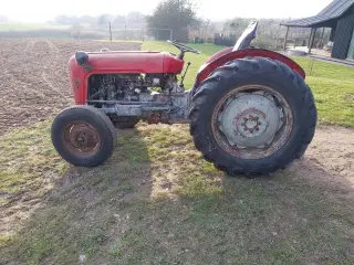 Massey Ferguson 36 Benzin