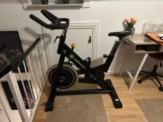 Darwin spinning cykel 