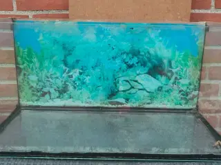 54 liters akvarie