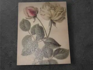 Papirark med rosendesign på mørk baggrund Tilføj e