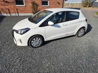 Toyota Yaris på papegøjeplader