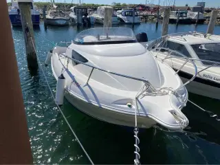 Örnvik 510