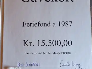 Gavekort til Nilles rejser
