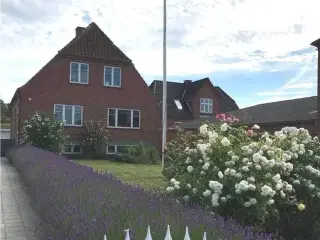 Dejligt sommerhus i S�by p� smukke �r� med plads til 8 personer
USIGT UD OVER VANDET