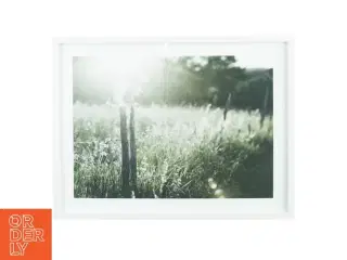 Plakat og billedramme (str. 42 x 32 cm)