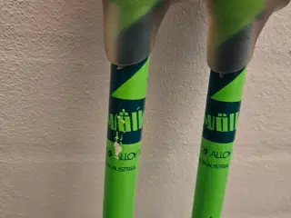 Ski stave