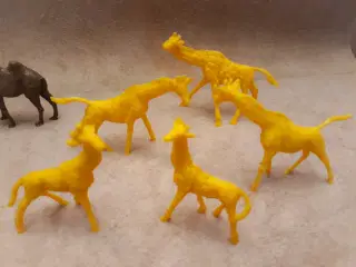 20 Heinerle Manurba Zoo Dyr 