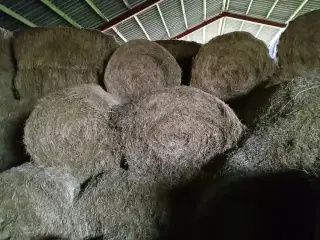 hø/halm sælges