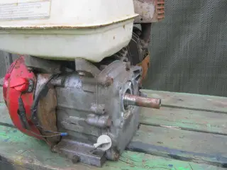 honda 5,5 hk motor