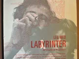 leg med labyrinter, af vladimir koziakin, emne: an