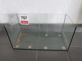 Terraie