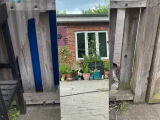 Spejl