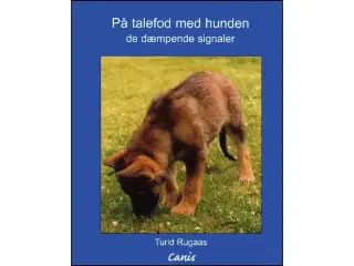 På talefod med hunden