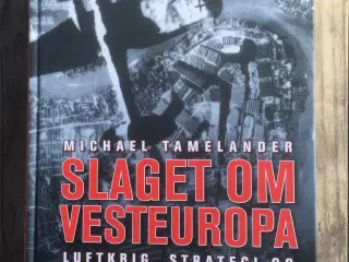 Slaget om Vesteuropa, Michael Tamelander