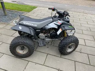 ATV Smc Quadzilla R100