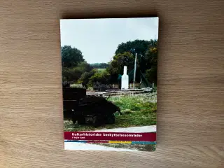 Kulturhistoriske beskyttelsesområder i Vejle Amt