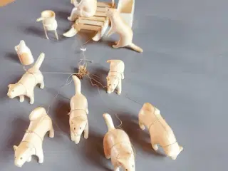 Grønlænderslæde med 7 hunde