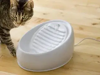 Drikkefontæne / vandfontæne til kat