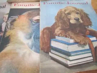 Gamle FAMILIE JOURNAL fra 53/54/55.
