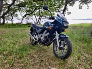 YAMAHA XJ600 S Diversion