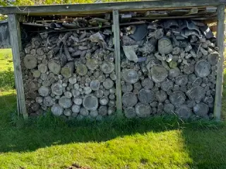 Pejsebrænde billigt