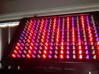 Udlejes - IMG Stage Line - LED 500DX