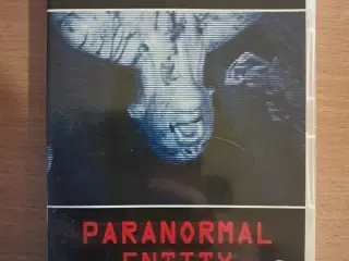 Paranormal Entity