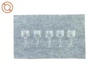 Snapseglas 5 styk (str. 10 cm x Ø5 cm )