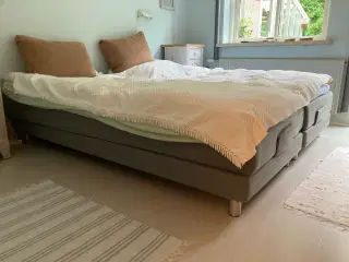 Elevationsseng