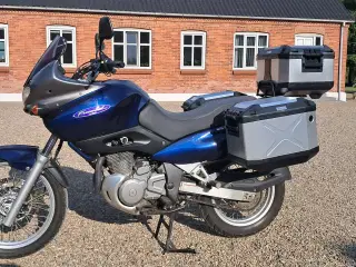 Suzuki XF 650 Freewind