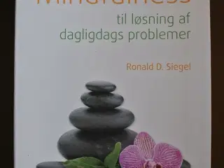 mindfulness til løsning af dagligdags problemer, a