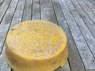 Bivoks. Blokvoks 2,5 kg