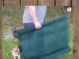 Hundehegn