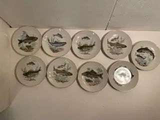 Fisketallerkner porcelæn