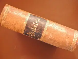 bibelen. 1884