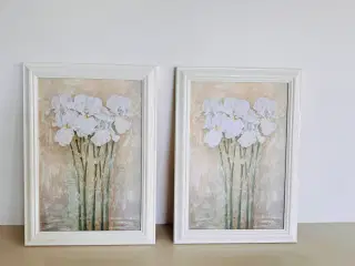Scott-tonge. Jean: whatercolour- white flower