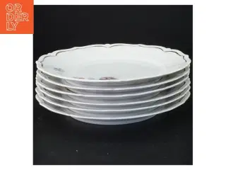 Vintage porcelænstallerkener med blomstermotiv fra Bavaria (str. Diameter 21 cm)