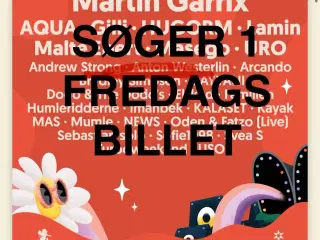 Smukfest fredagsbillet 2025 - SØGES
