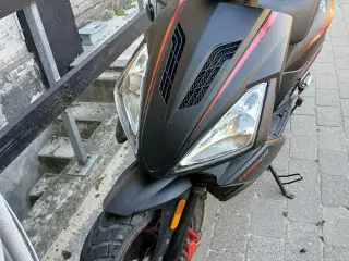 DR BIG SCOOTER 2021
