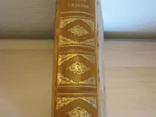Danmarks Brandvæsener ( De kommunale brandvæsener)